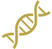 Tests ADN