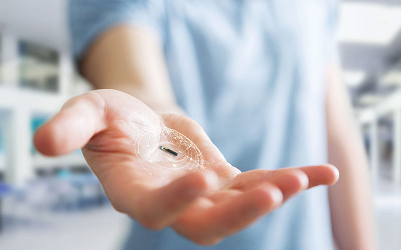 Puce Thermochip Puce Thermochip