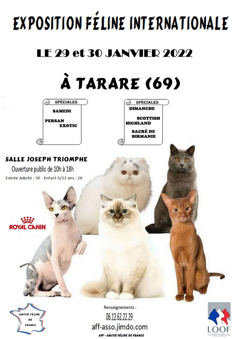 Exposition féline internationale de Tarare - Rhône-Alpes (69)