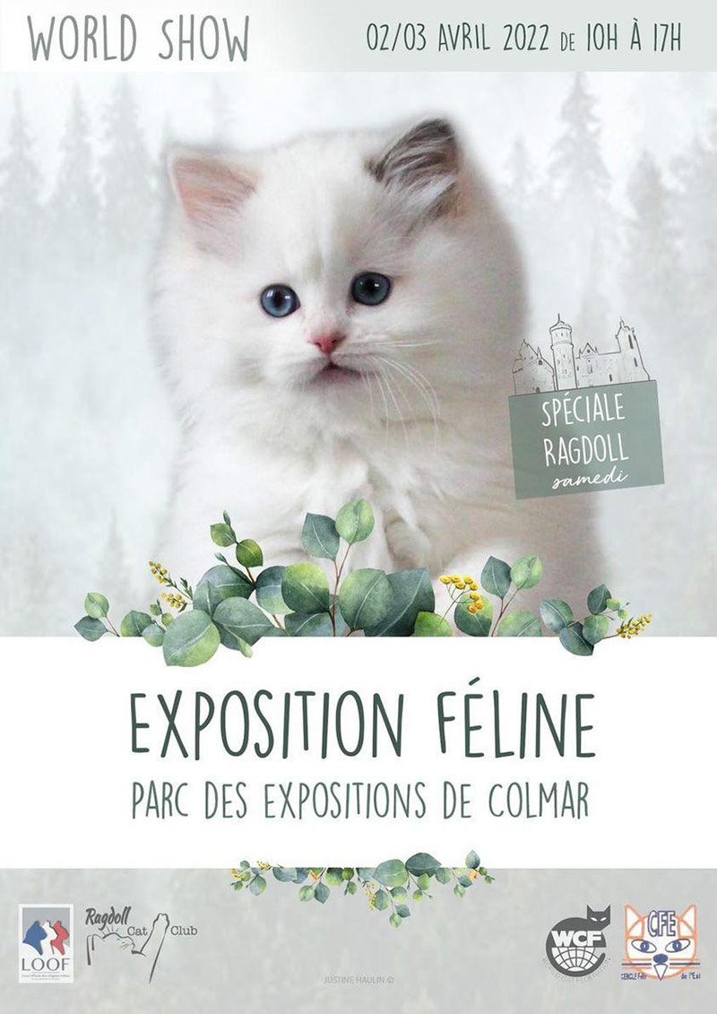 Exposition féline de Colmar 2022 - World Show Cat
