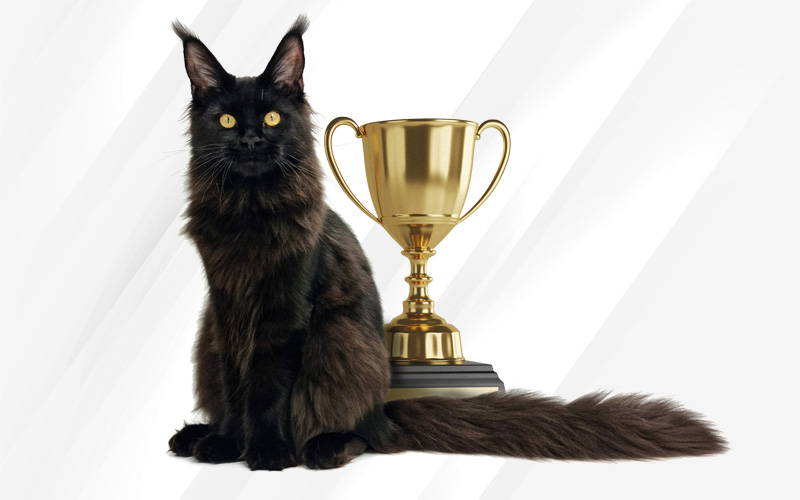 Scarlett Championne de France