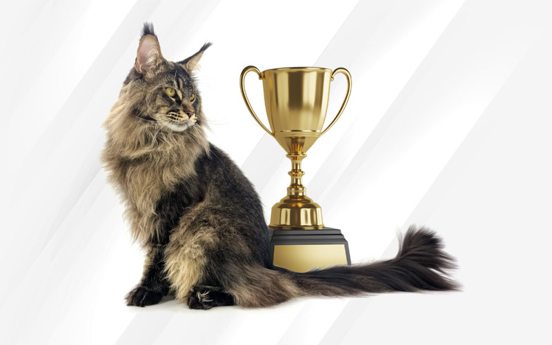 Remington Champion d'Europe