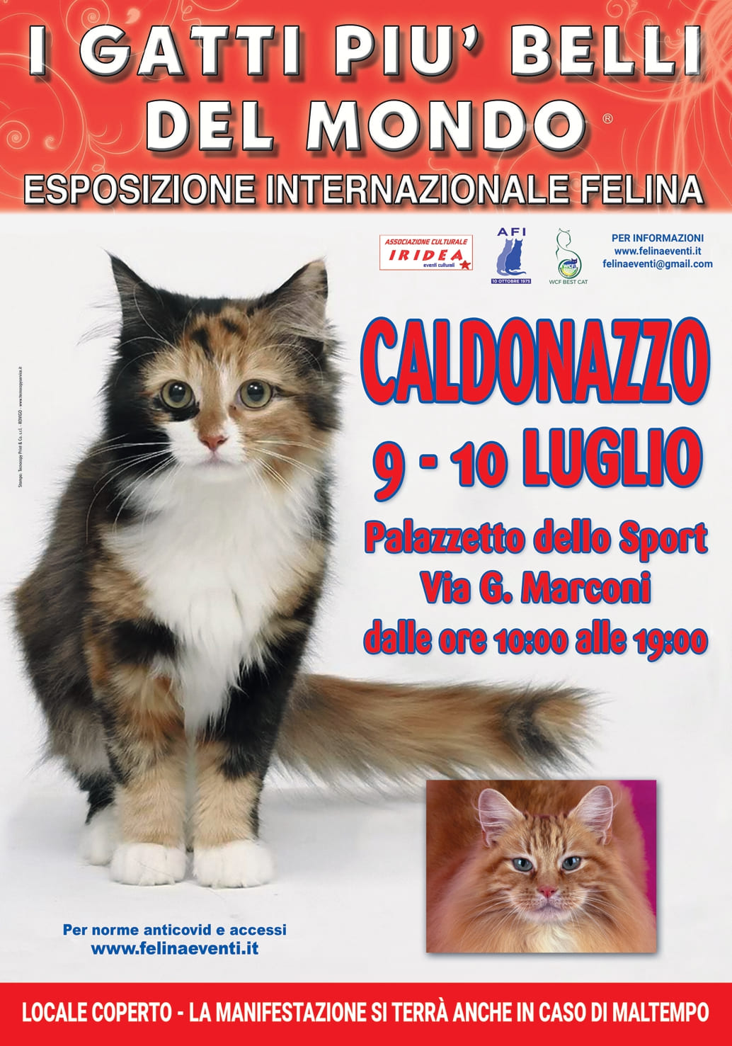 Exposition féline internationale de Caldonazzo 2022 - Italie