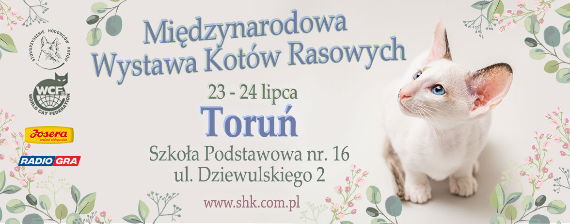 Exposition féline internationale de Torun 2022 - Pologne
