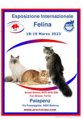 Nikomacoon's Cattery Exposition féline suisse WCF