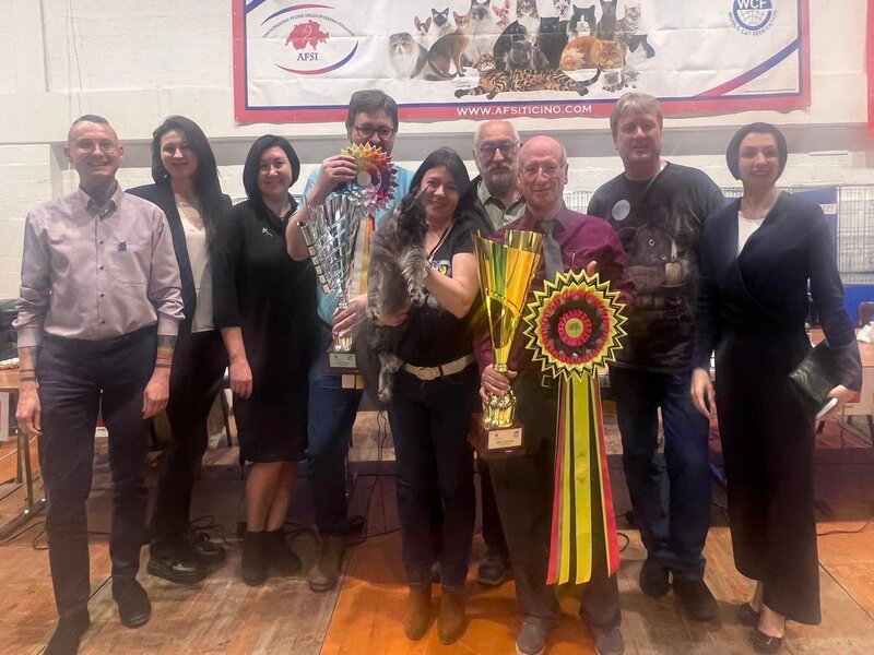 Nikomacoon's Cattery Exposition féline suisse WCF