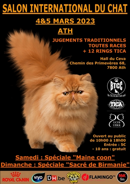 Nikomacoon's Cattery exposition feline ATH TICA 2023