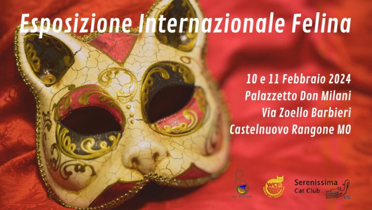 Exposition Internationale de Castelnuovo Rangone