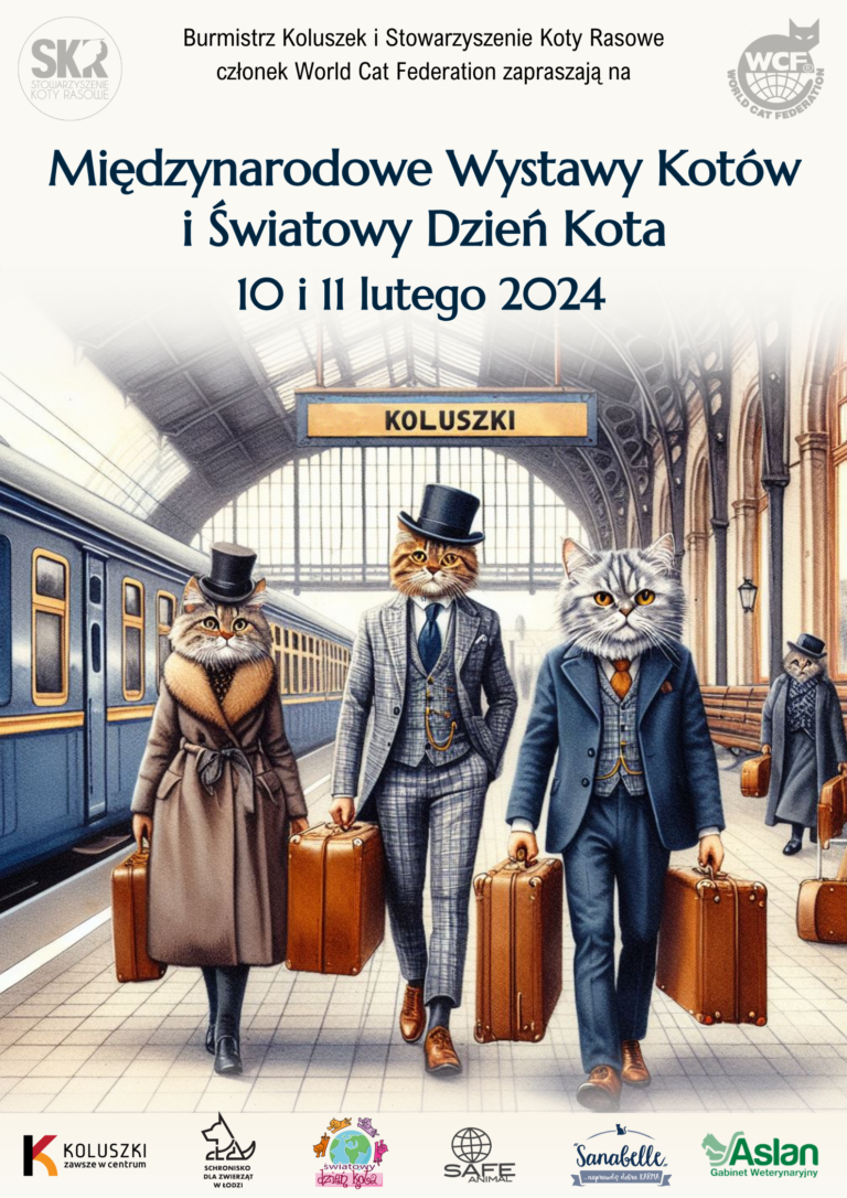 Exposition féline de Koluszki - wcf