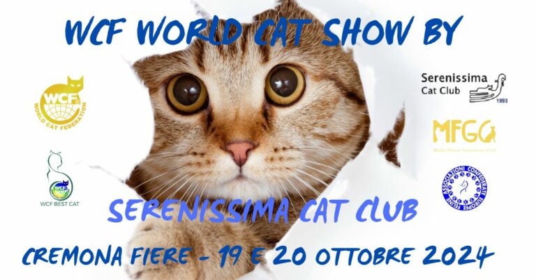 Exposition Féline WCF Cremona 2024