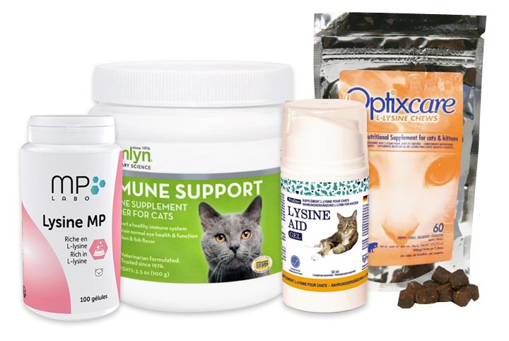 Complément alimentaire lysine pour chat