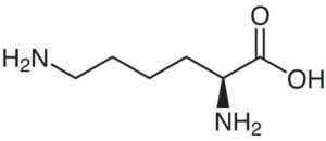 Molécule de Lysine