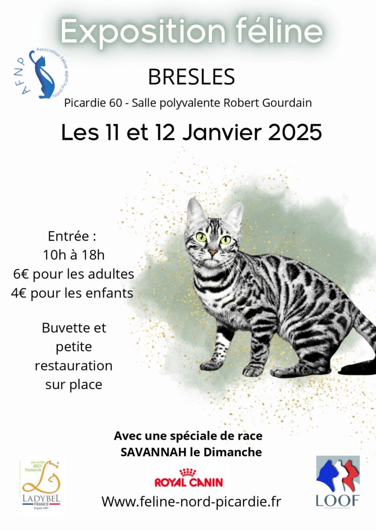 Exposition félines loof BRESLES - 2025