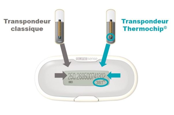 Puce thermochip et lecteur de données
